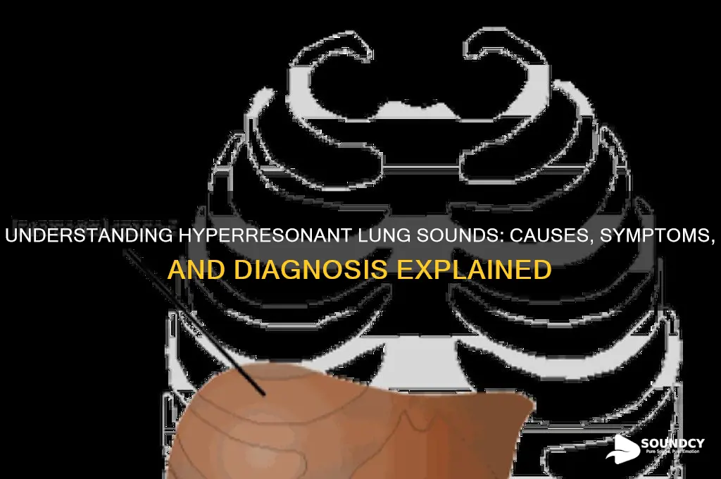 what aare hyperressonate lung sounds