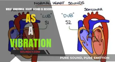 Understanding Heart Murmurs: The Vibrating Sound of Abnormality