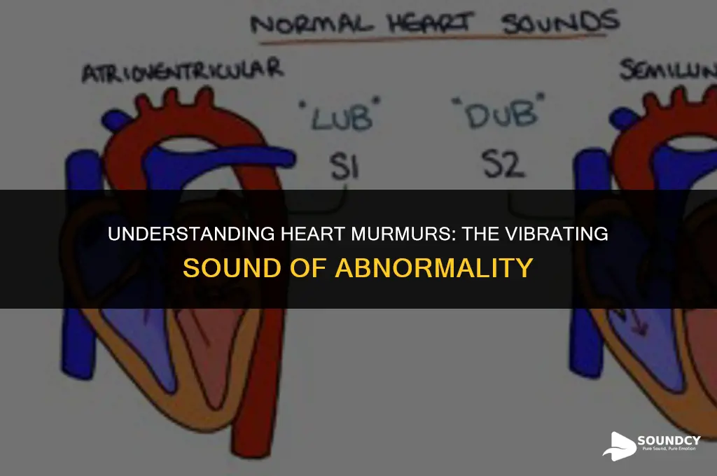 what abnormal heart sound is described as a vibration