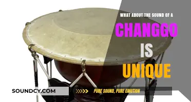Exploring the Distinctive Timbre of the Traditional Changgo Drum