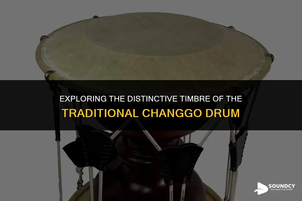 what about the sound of a changgo is unique
