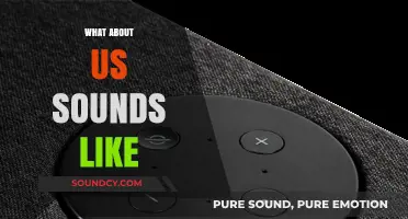 What About Us Sounds Like: Decoding the Echoes of Our Voices