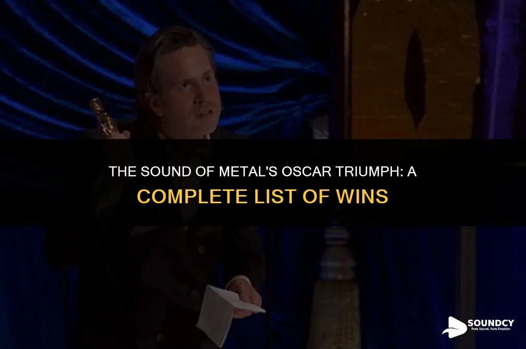what academy awards did the sound of metal win