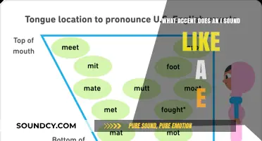 Exploring Phonetics: When 'I' Sounds Like 'E' in Different Accents