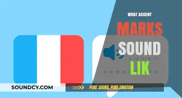 Decoding Accents: How Accent Marks Shape Sounds in Languages