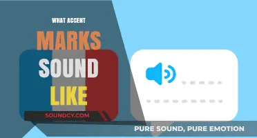 Decoding Accents: How Diacritical Marks Shape Language Sounds