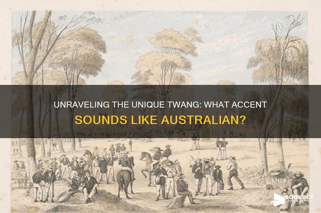what accent sounds like australian