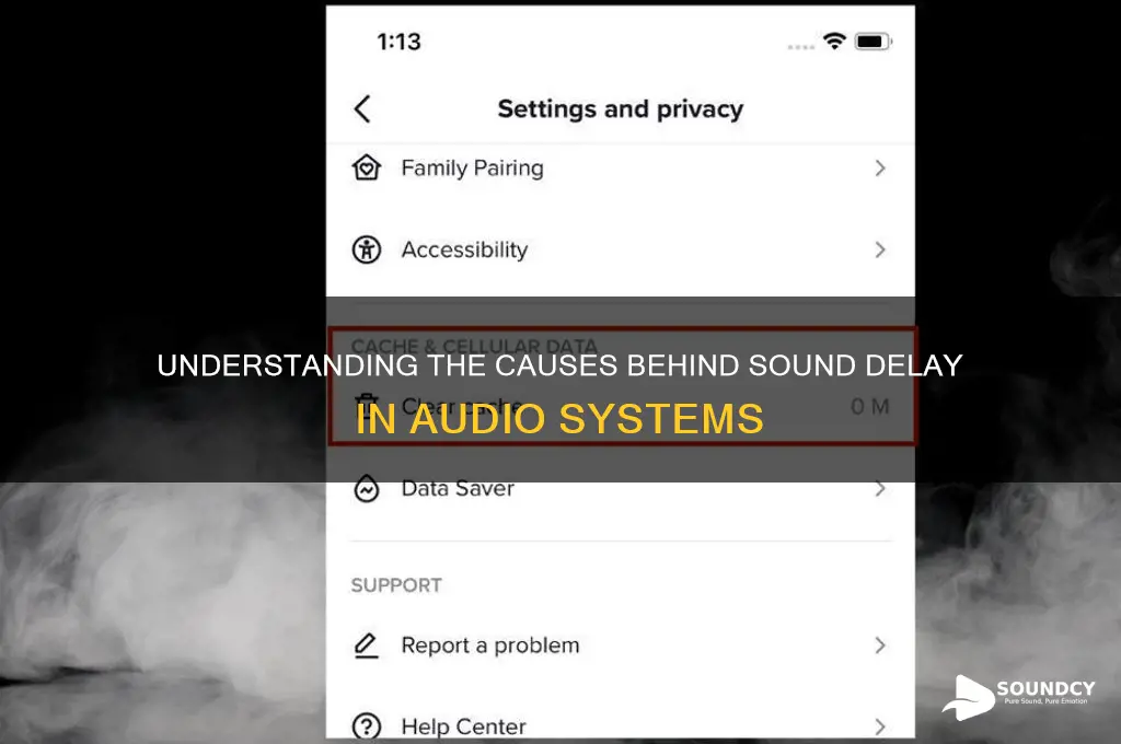 what accounts for sounds delay
