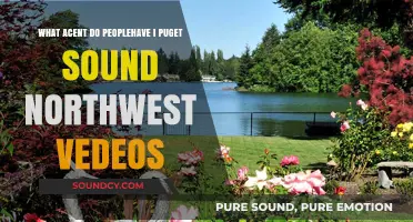 Exploring Diverse Accents in Puget Sound: A Linguistic Journey