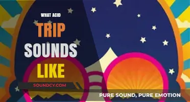 Echoes of the Mind: Decoding the Sonic Experience of an Acid Trip
