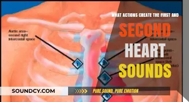 Exploring the Origins of Heart Sounds: A Detailed Guide
