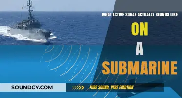 Echoes Beneath the Surface: The Sonic World of Submarine Sonar