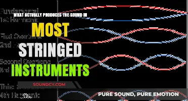 The Vibrating Heart: How Strings Produce Sound in Instruments