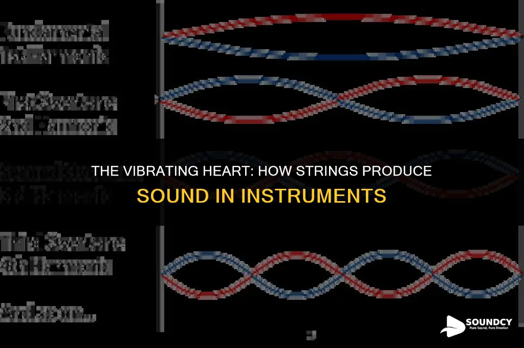 what actually produces the sound in most stringed instruments