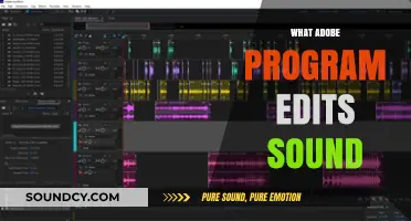 Mastering Audio Editing: Which Adobe Program Enhances Your Sound Projects?