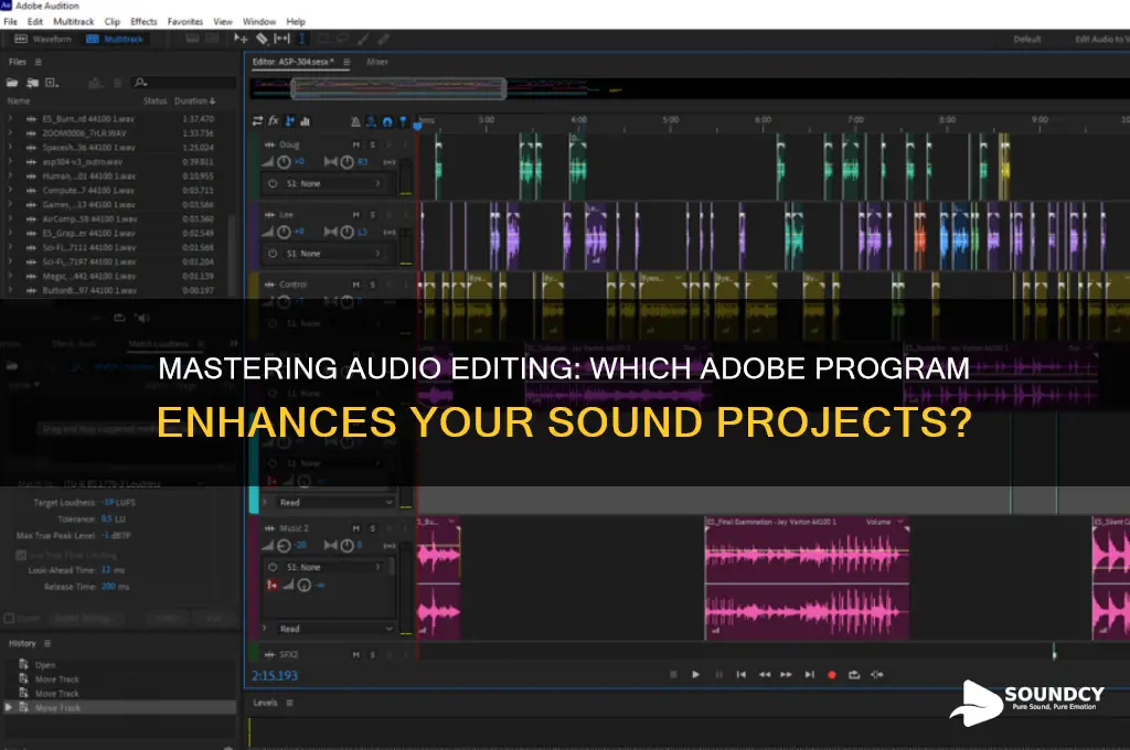 what adobe program edits sound