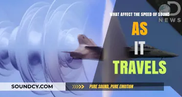 Exploring the Factors that Influence the Speed of Sound