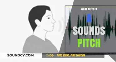 Exploring Factors That Influence Sound Pitch: Frequency, Waves, and Beyond