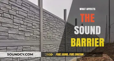 Exploring Factors Influencing the Sound Barrier: Speed, Altitude, and Physics