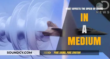 Exploring the Factors that Influence Sound Speed in Different Media