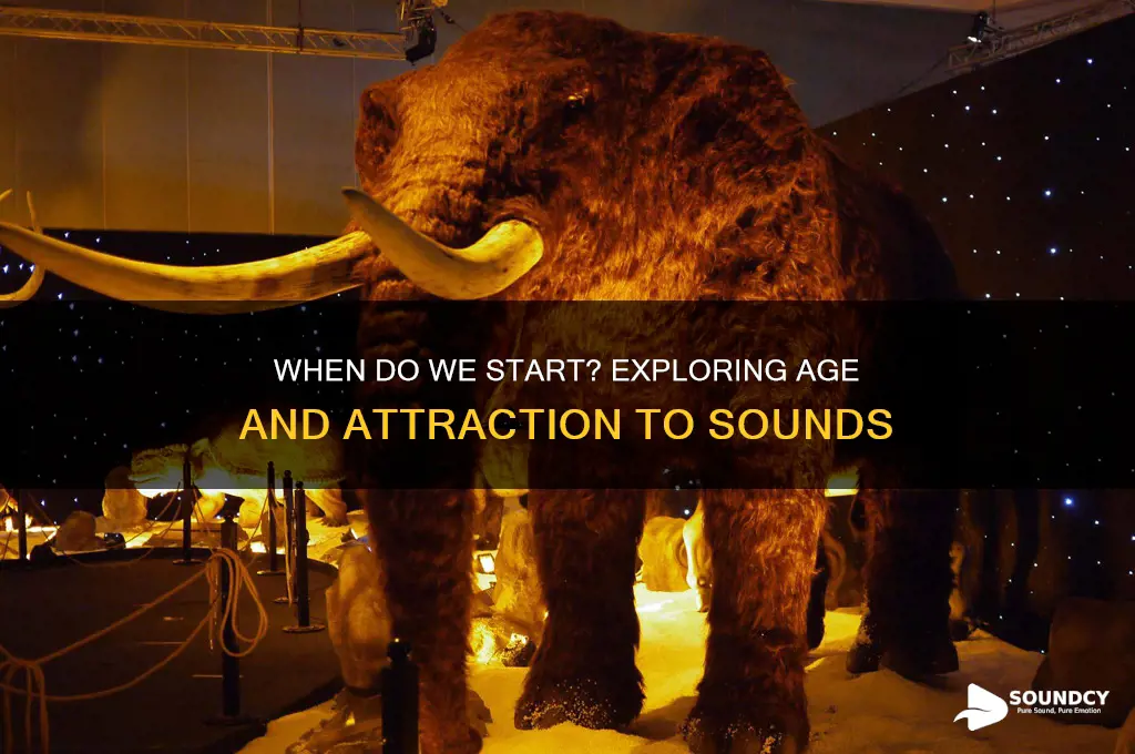 what age attracted to sounds