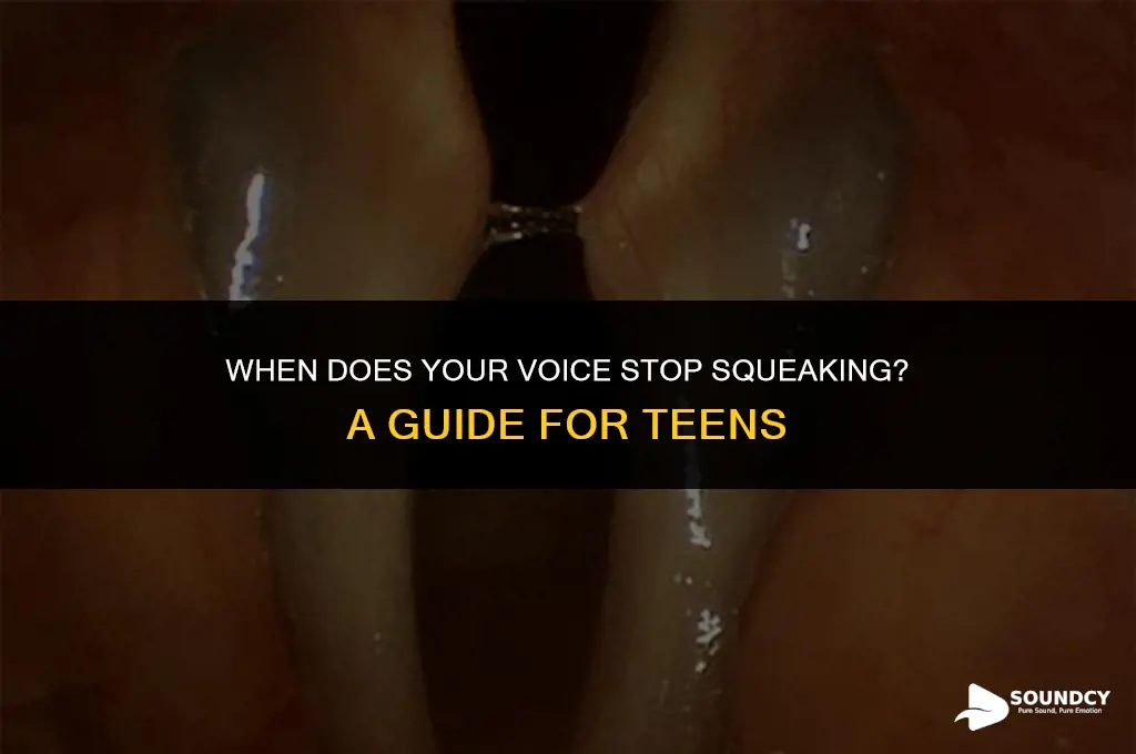 what age do you stop sounding like a squeaker