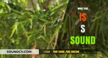 When Do Kids Master the S Sound? A Developmental Guide
