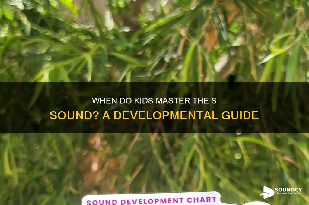 what age is s sound