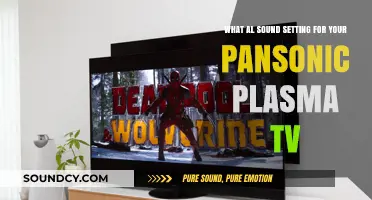 Optimize Your Panasonic Plasma TV: The Perfect Audio Settings