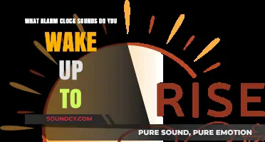 Rise and Shine: The Alarm Clock Sounds That Kickstart Our Mornings