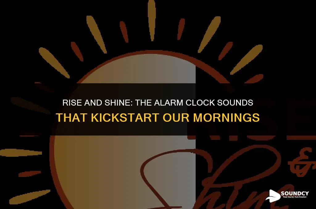 what alarm clock sounds do you wake up to
