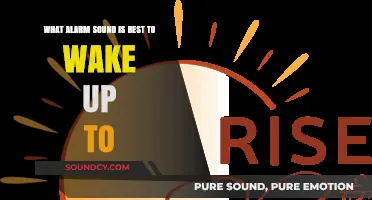 Rise and Shine: Discovering the Perfect Alarm Sound for a Refreshing Wake-Up