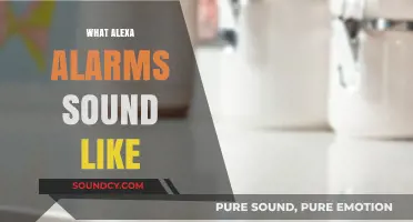 Exploring the Unique Sounds of Alexa's Alarm Notifications