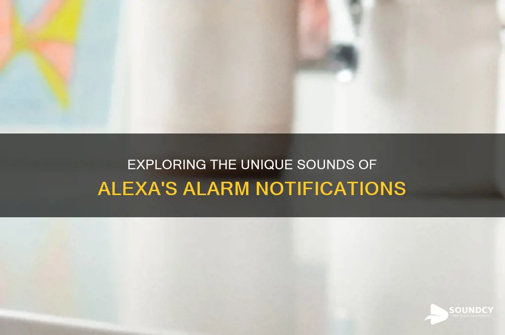 what alexa alarms sound like