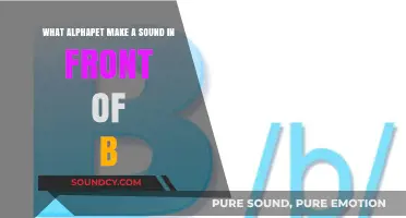 Exploring Phonics: Which Alphabet Sounds Precede 'B'?