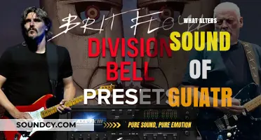 Exploring Factors That Transform the Sound of Your Guitar