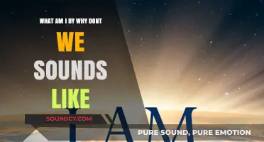 Exploring the Sonic Similarities: What 'I Am' by Why Don't We Reminds Us Of