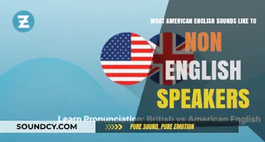 Decoding American English: A Non-Native Speaker's Perspective