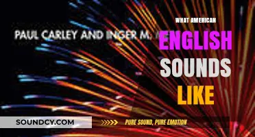 The Unique Cadence: Exploring the Distinct Sounds of American English