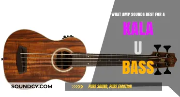 Unleashing the Best Sound: Top Amp Picks for Your Kala U-Bass
