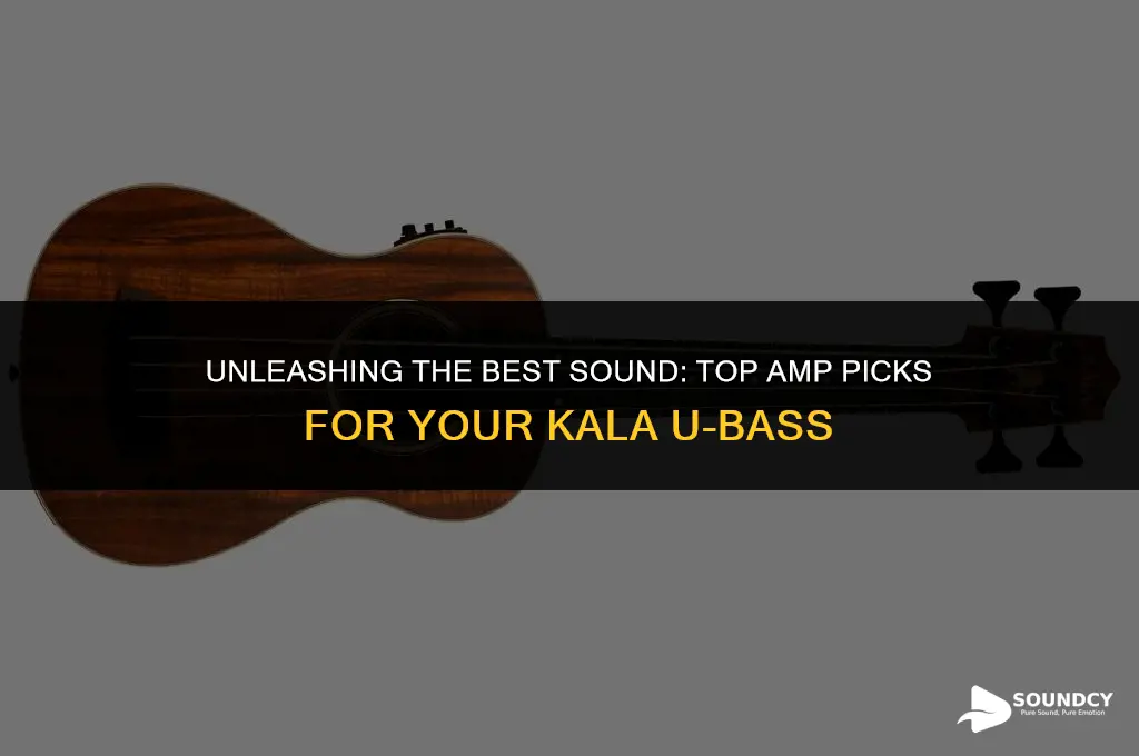 what amp sounds best for a kala u bass