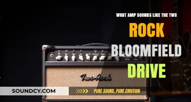 Exploring the Sonic Landscape: Amp That Echoes Two Rock Bloomfield Drive
