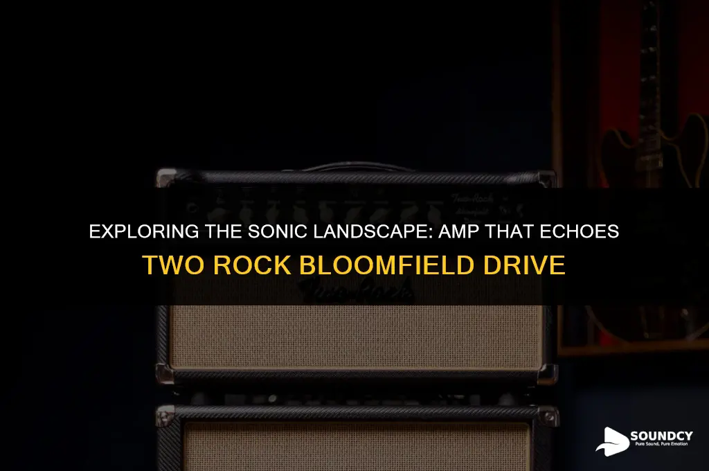 what amp sounds like the two rock bloomfield drive