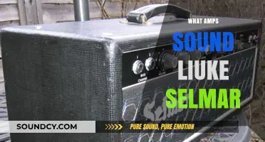 Amps That Capture the Iconic Sound of Selmar: A Guide