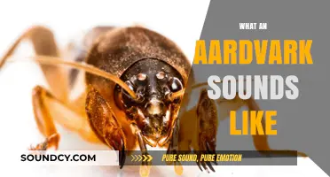 Unveiling the Unique Vocalizations: What Does an Aardvark Sound Like?