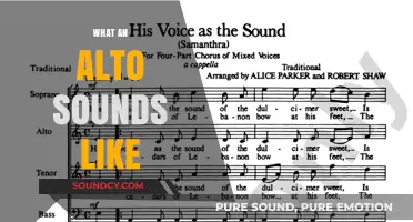 Exploring the Rich, Warm, and Versatile Sound of the Alto Voice