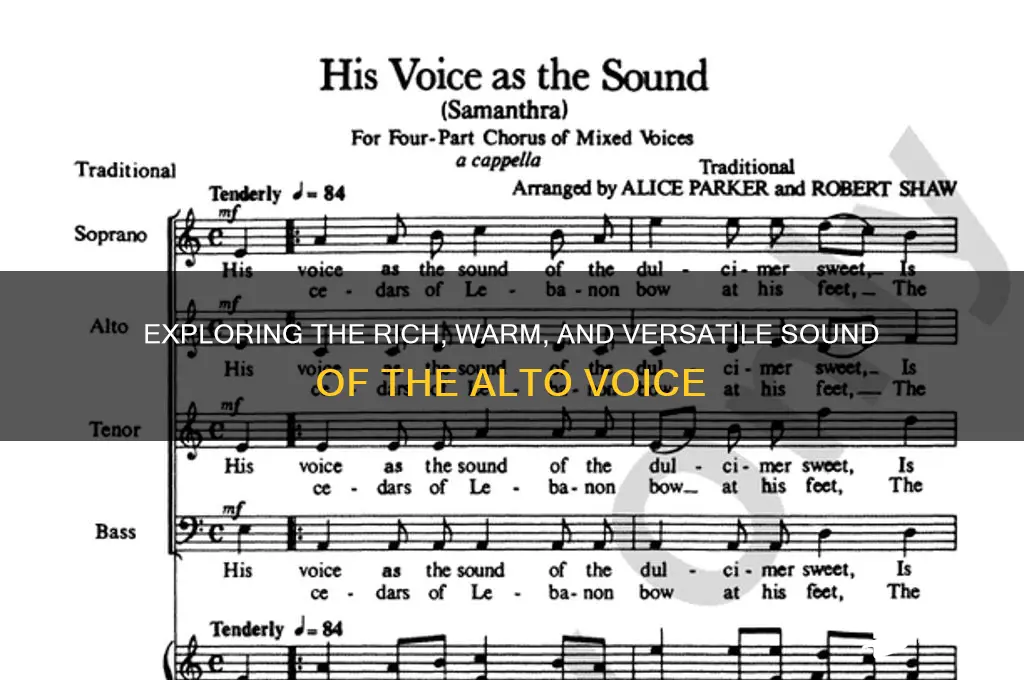 what an alto sounds like
