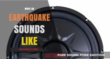 Unveiling the Haunting Sounds of Earthquakes: A Sonic Journey