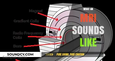 Unveiling the Noisy Mystery: What an MRI Sounds Like Inside