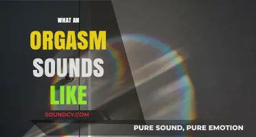 Exploring the Audible Symphony of Pleasure: What an Orgasm Sounds Like